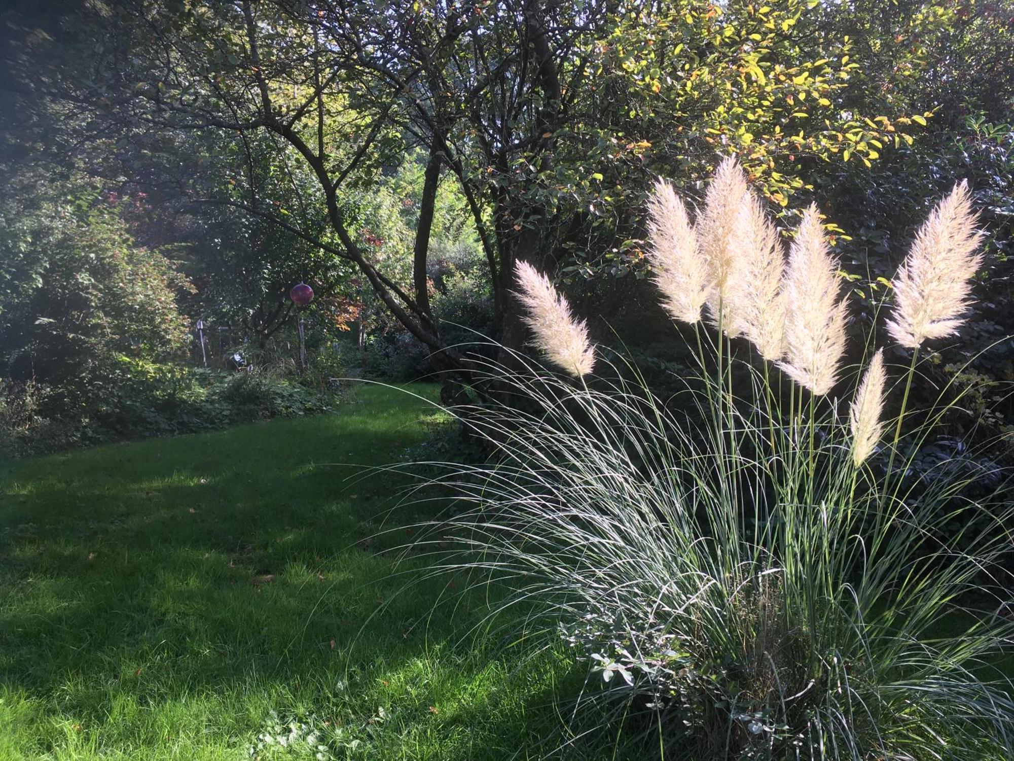 Waldzauber Daire Waldkirchen Dış mekan fotoğraf